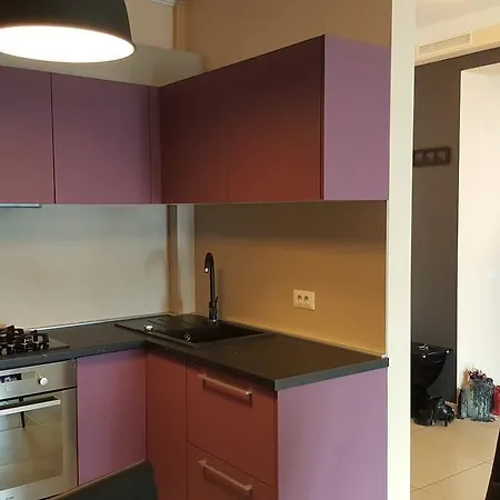 アパート Solid House