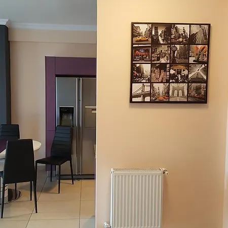 Solid House * ママイア