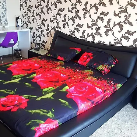 Solid House ママイア