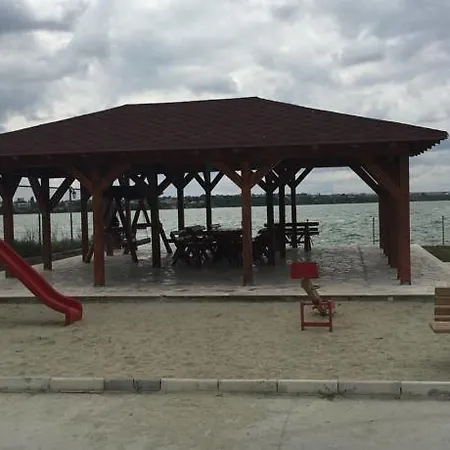 アパート Solid House